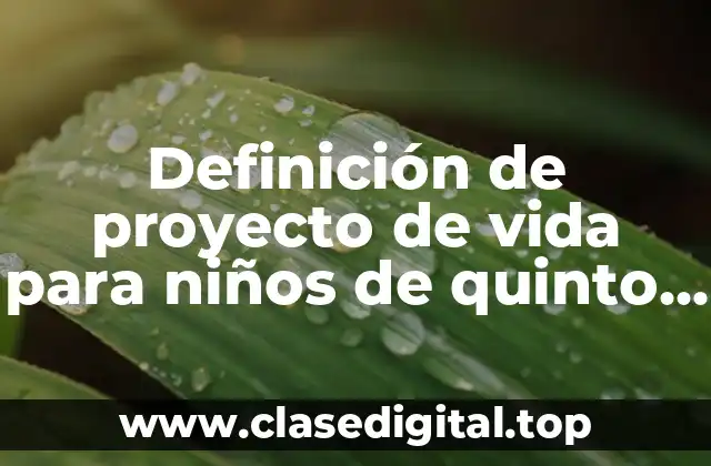 Definición de proyecto de vida para niños de quinto grado