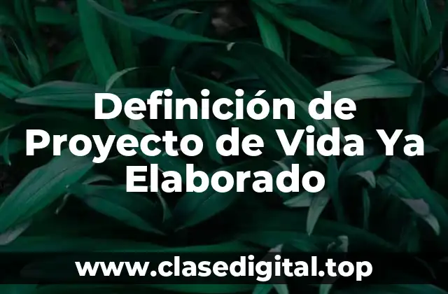 Definición de Proyecto de Vida Ya Elaborado