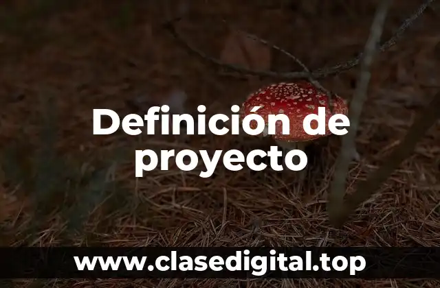 Definición técnica de proyecto