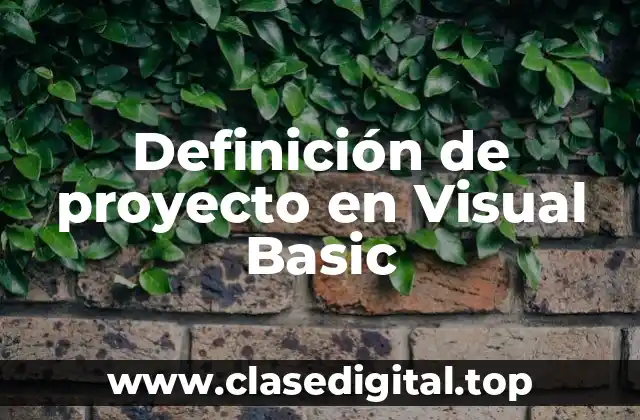 Definición de proyecto en Visual Basic