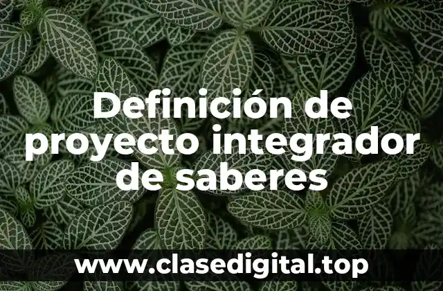 Definición de proyecto integrador de saberes