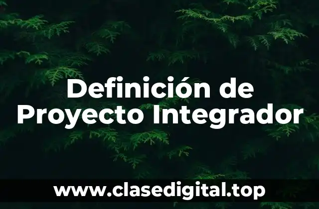 Definición de Proyecto Integrador