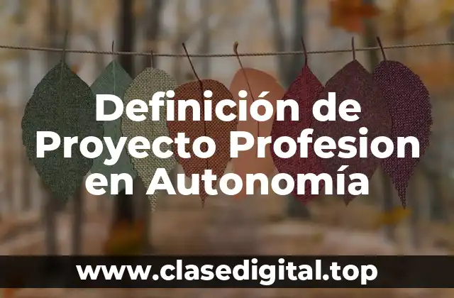 Definición de Proyecto Profesion en Autonomía