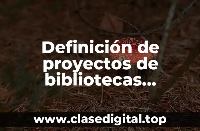 Definición de proyectos de bibliotecas comunitarias