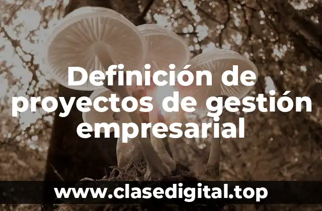 Definición de proyectos de gestión empresarial