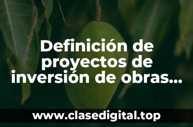 Definición de proyectos de inversión de obras de construcción de casas remodelación