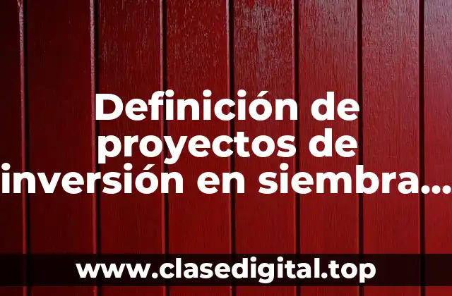 Definición de proyectos de inversión en siembra de viñedos documento