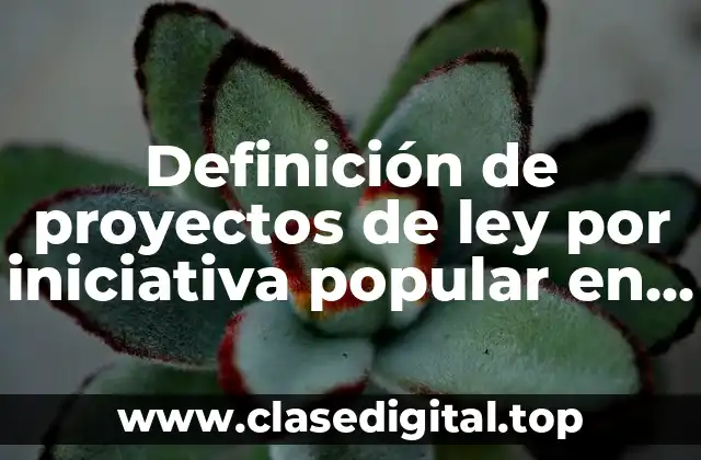 Definición de proyectos de ley por iniciativa popular en Argentina