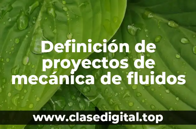 Ejemplos de proyectos de mecánica de fluidos