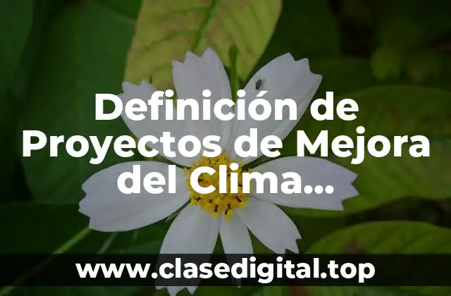 Ejemplos de Proyectos de Mejora del Clima Organizacional en Enfermería