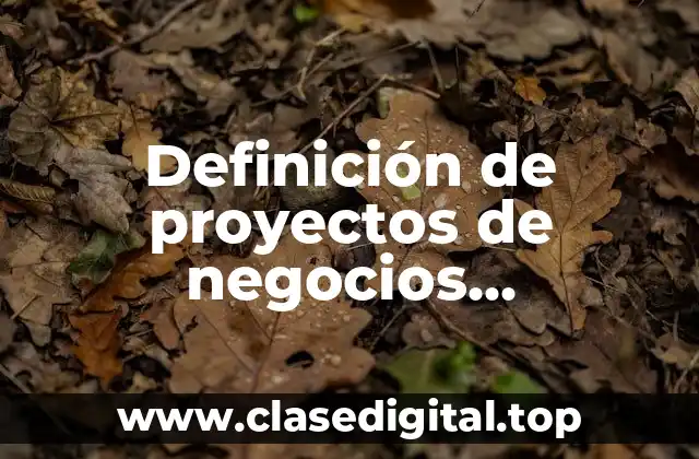 Definición de proyectos de negocios innovadores