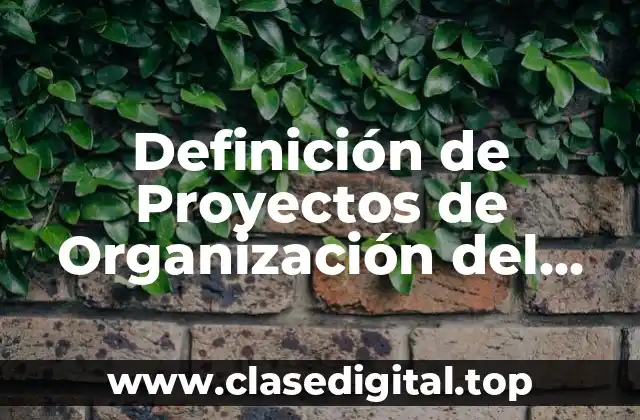 Definición de Proyectos de Organización del Participante