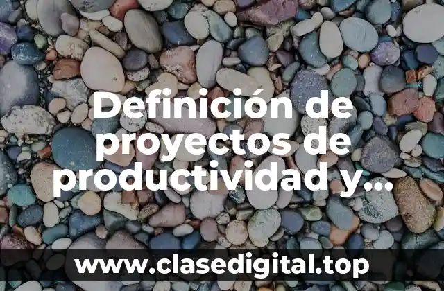 Definición de proyectos de productividad y desarrollo