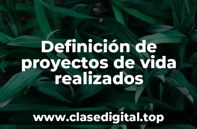 Definición de proyectos de vida realizados