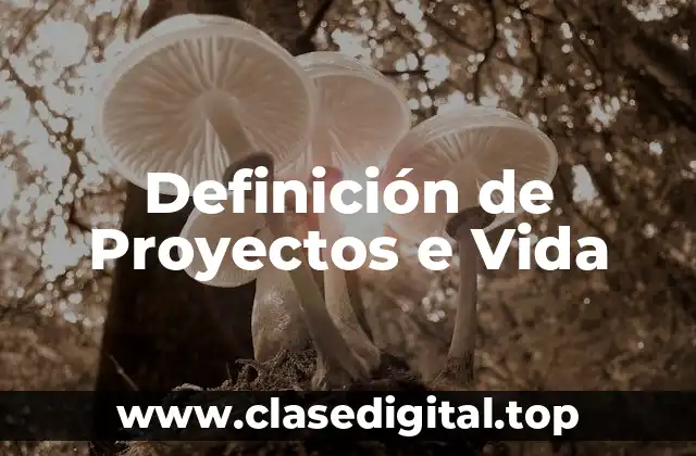 Definición de Proyectos e Vida
