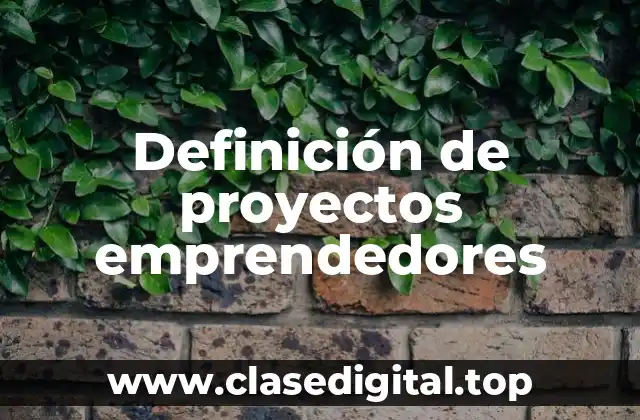 Definición de proyectos emprendedores