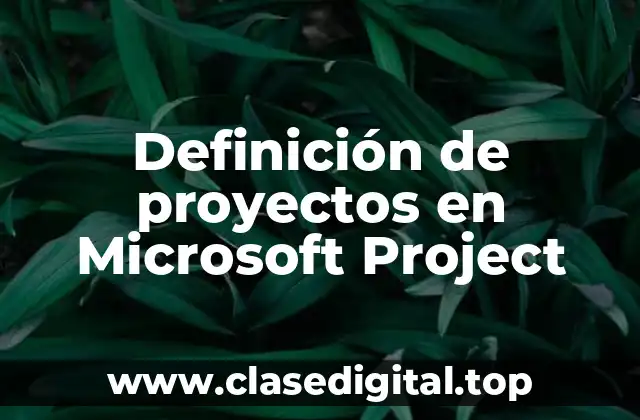 Definición de proyectos en Microsoft Project