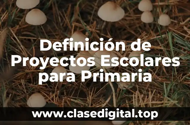 Definición de Proyectos Escolares para Primaria