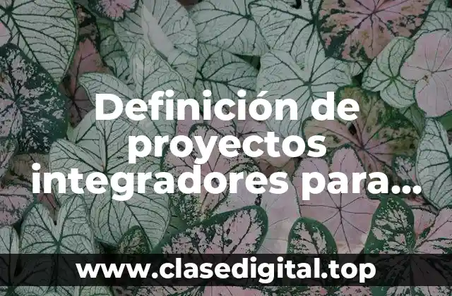 Ejemplos de proyectos integradores para preescolar