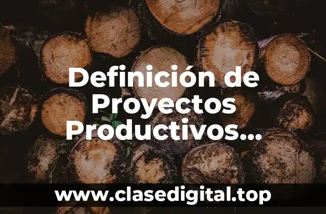 Definición de Proyectos Productivos Escolares