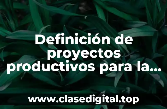Definición de proyectos productivos para la comunidad