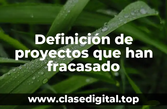 Ejemplos de proyectos que han fracasado