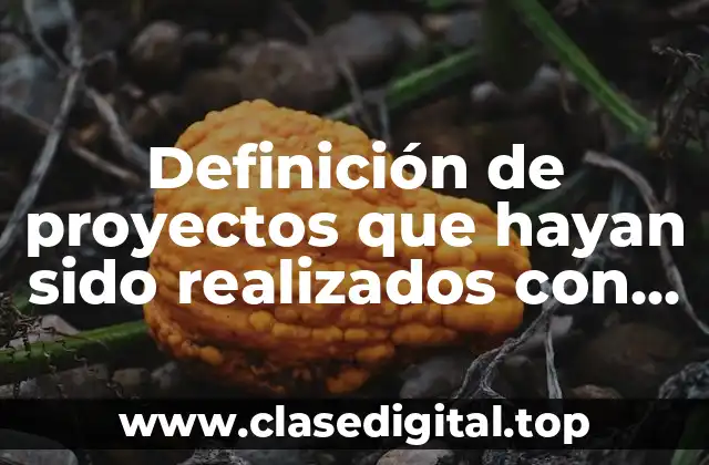 Ejemplos de proyectos que hayan sido realizados con las 3R