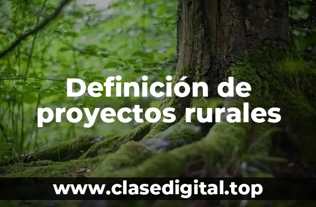 Ejemplos de proyectos rurales