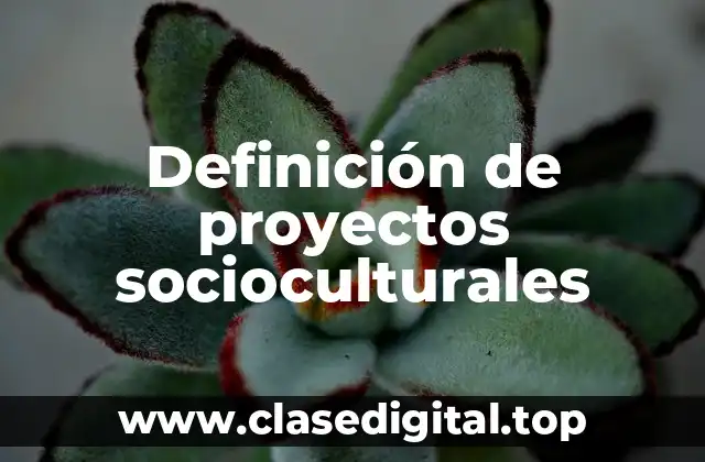 Definición de proyectos socioculturales