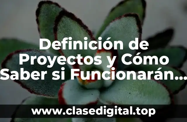 Definición de Proyectos y Cómo Saber si Funcionarán o No