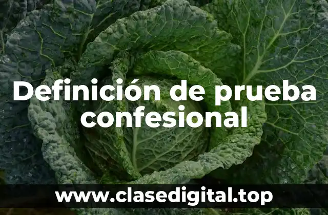 Definición de prueba confesional