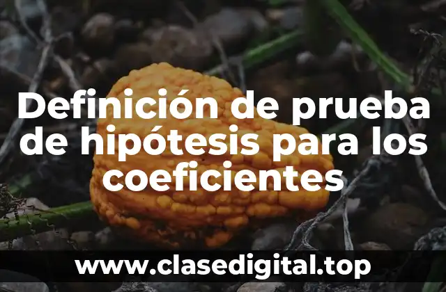 Definición de prueba de hipótesis para los coeficientes