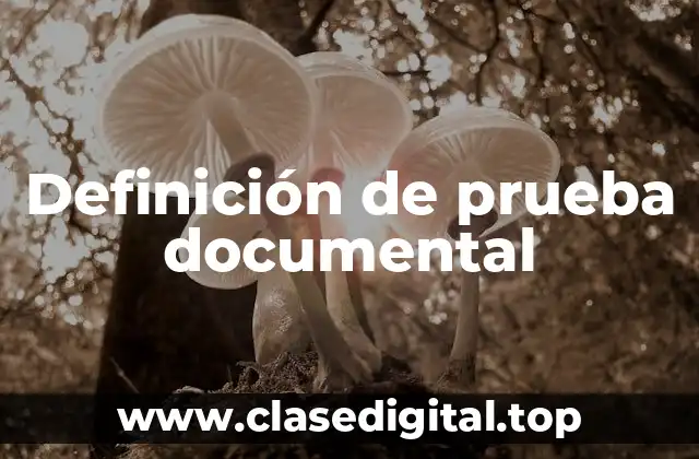 Definición de prueba documental