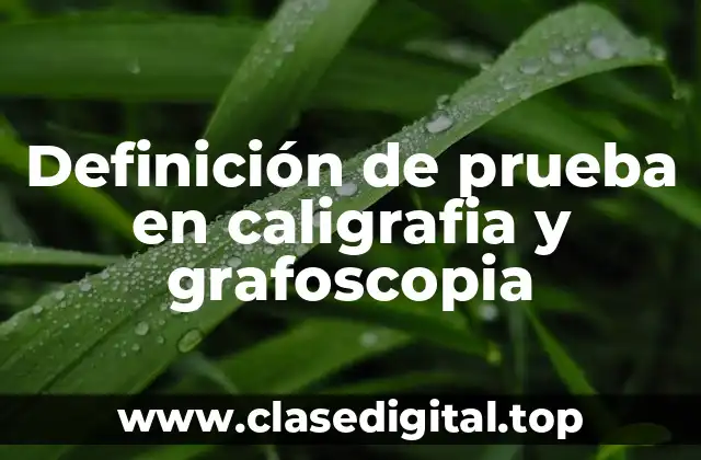 Definición de prueba en caligrafia y grafoscopia