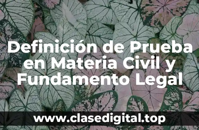 Definición de Prueba en Materia Civil y Fundamento Legal
