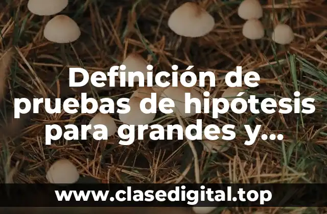 Definición de pruebas de hipótesis para grandes y pequeñas muestras