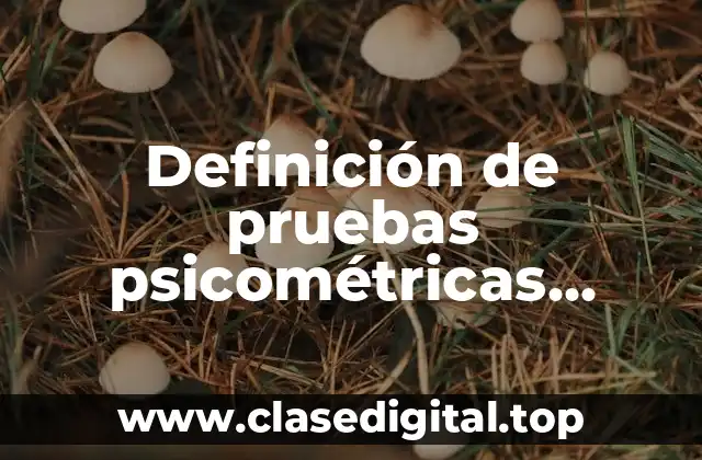 Definición de pruebas psicométricas laborales