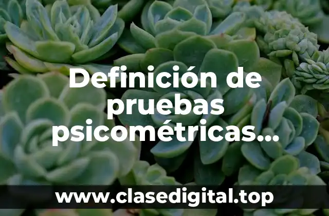 Definición de pruebas psicométricas técnicas de aptitudes