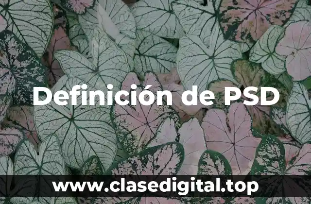 Definición de PSD
