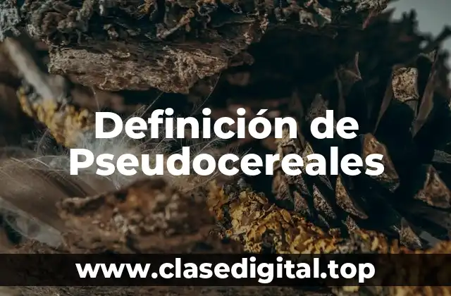 Definición de Pseudocereales