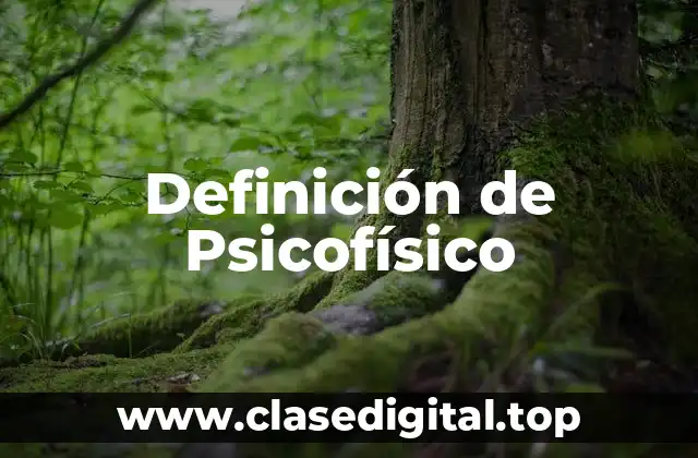 Definición de Psicofísico
