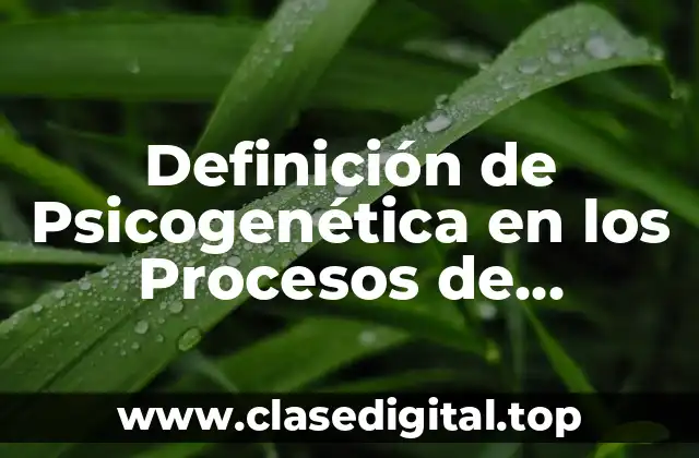 Definición de Psicogenética en los Procesos de Alfabetización Inicial