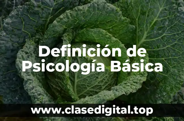 Definición de Psicología Básica