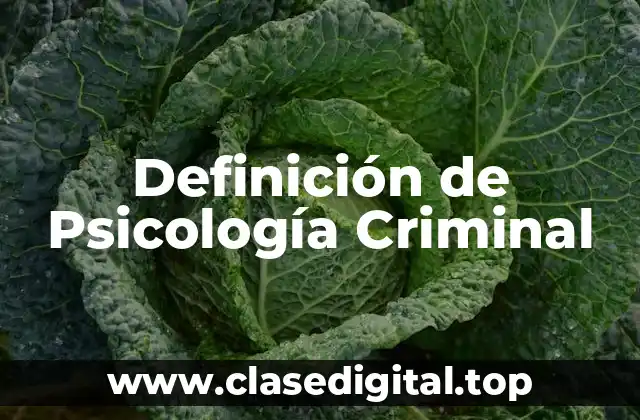 Definición técnica de Psicología Criminal