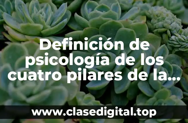 Definición de psicología de los cuatro pilares de la educación