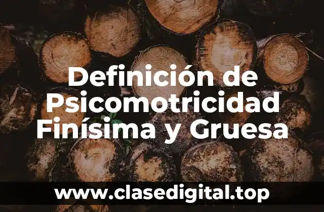 Definición de Psicomotricidad Finísima y Gruesa