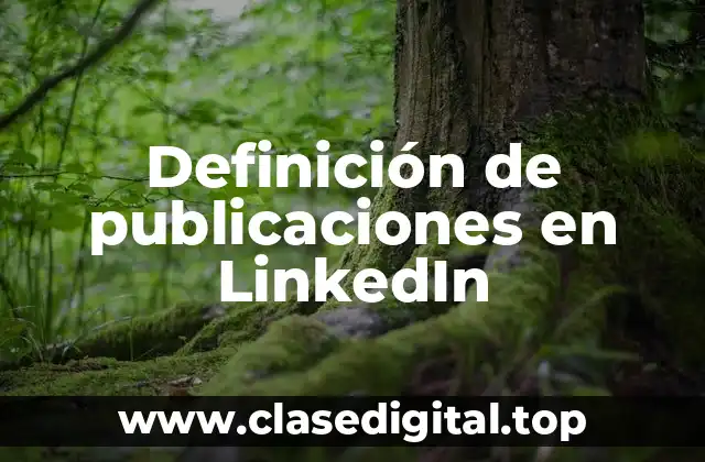 Definición de publicaciones en LinkedIn