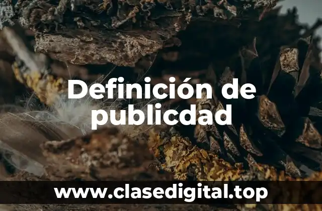 Definición de publicdad