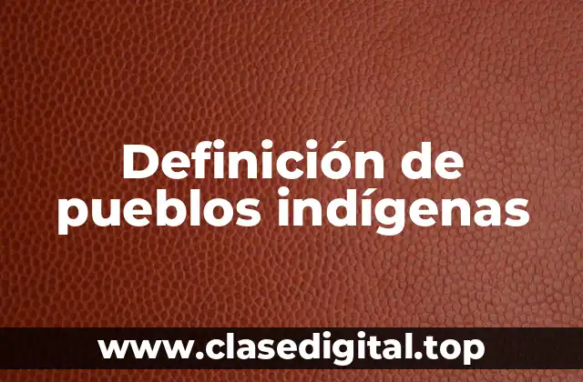 Definición de pueblos indígenas