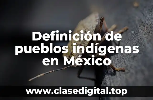 Definición de pueblos indígenas en México
